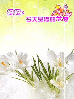 媽媽，今天是您的節日